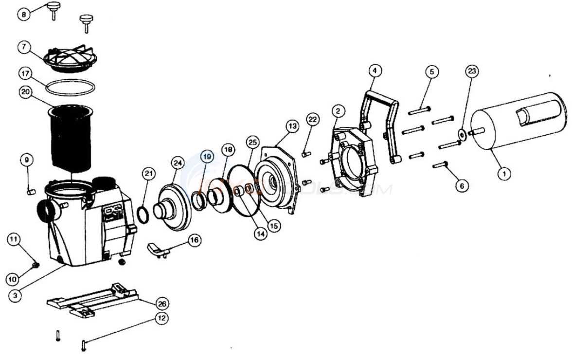 century pool pump parts diagram