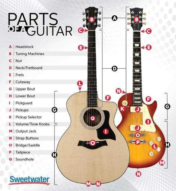 bass guitar parts diagram