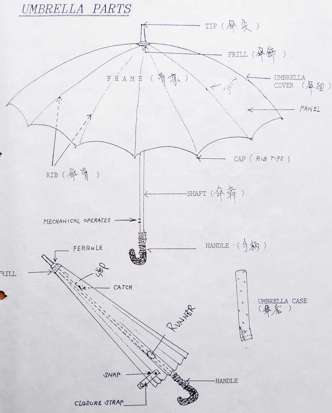 parts of an umbrella diagram