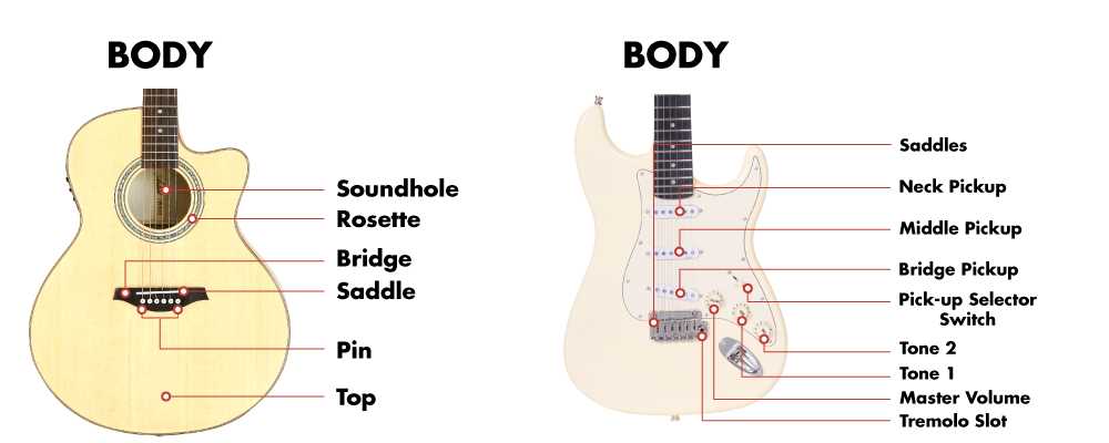 parts of the acoustic guitar diagram