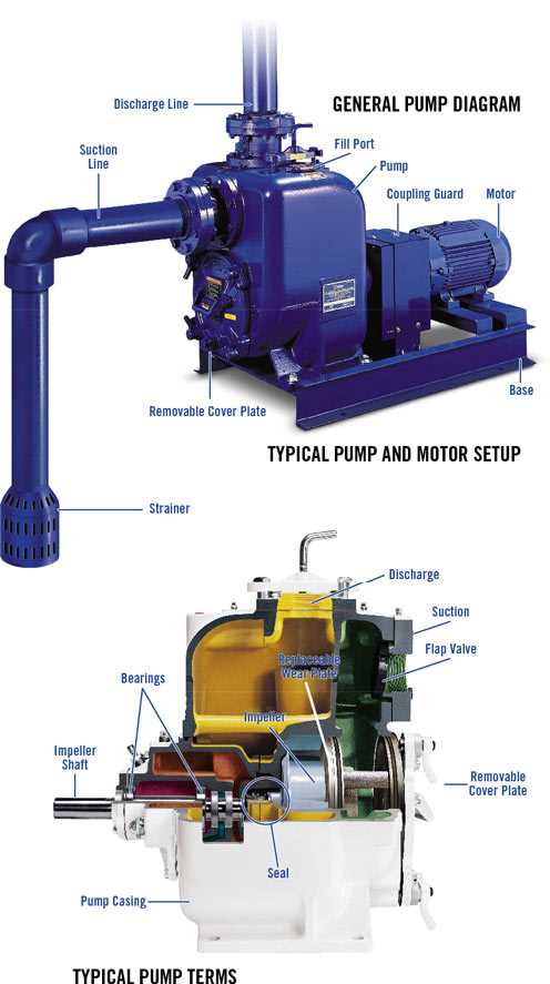 gorman rupp pump parts diagram