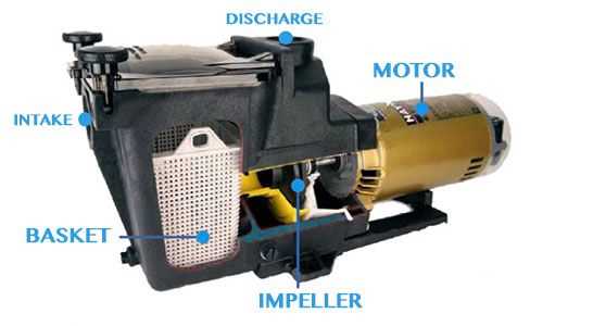 hayward super pump 1.5 hp parts diagram