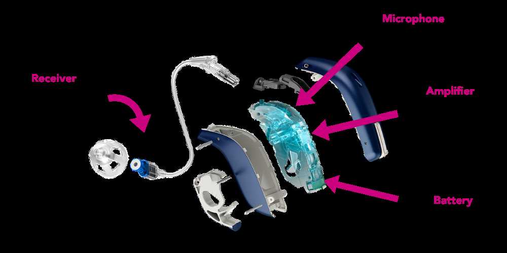 hearing aid parts diagram