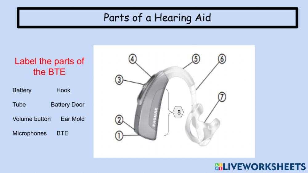 hearing aid parts diagram