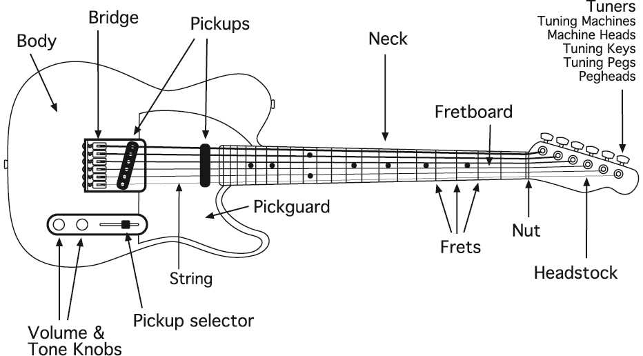 parts of bass guitar diagram