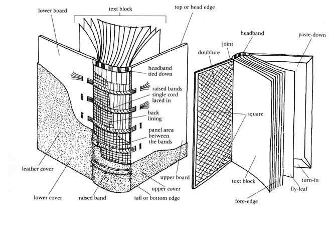 parts of a book diagram