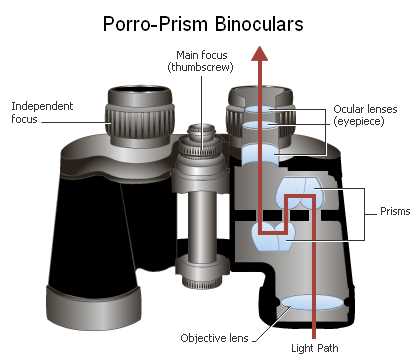 binocular parts diagram