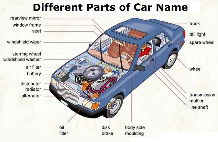 exterior car parts diagram