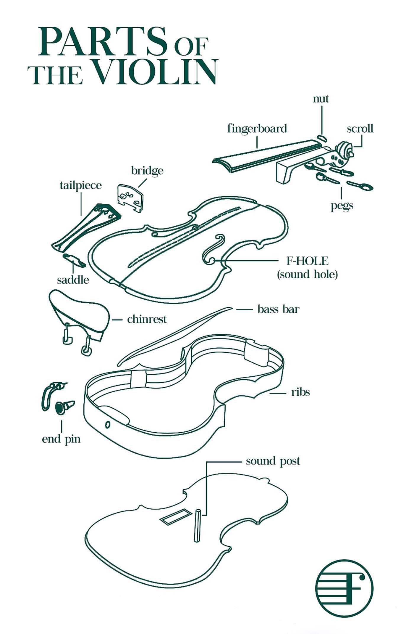 parts of a violin diagram