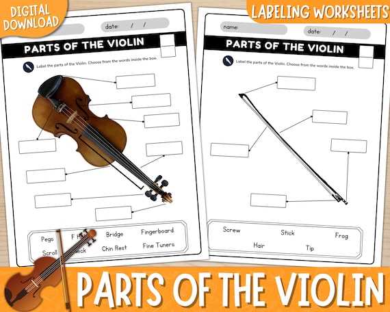 violin parts diagram