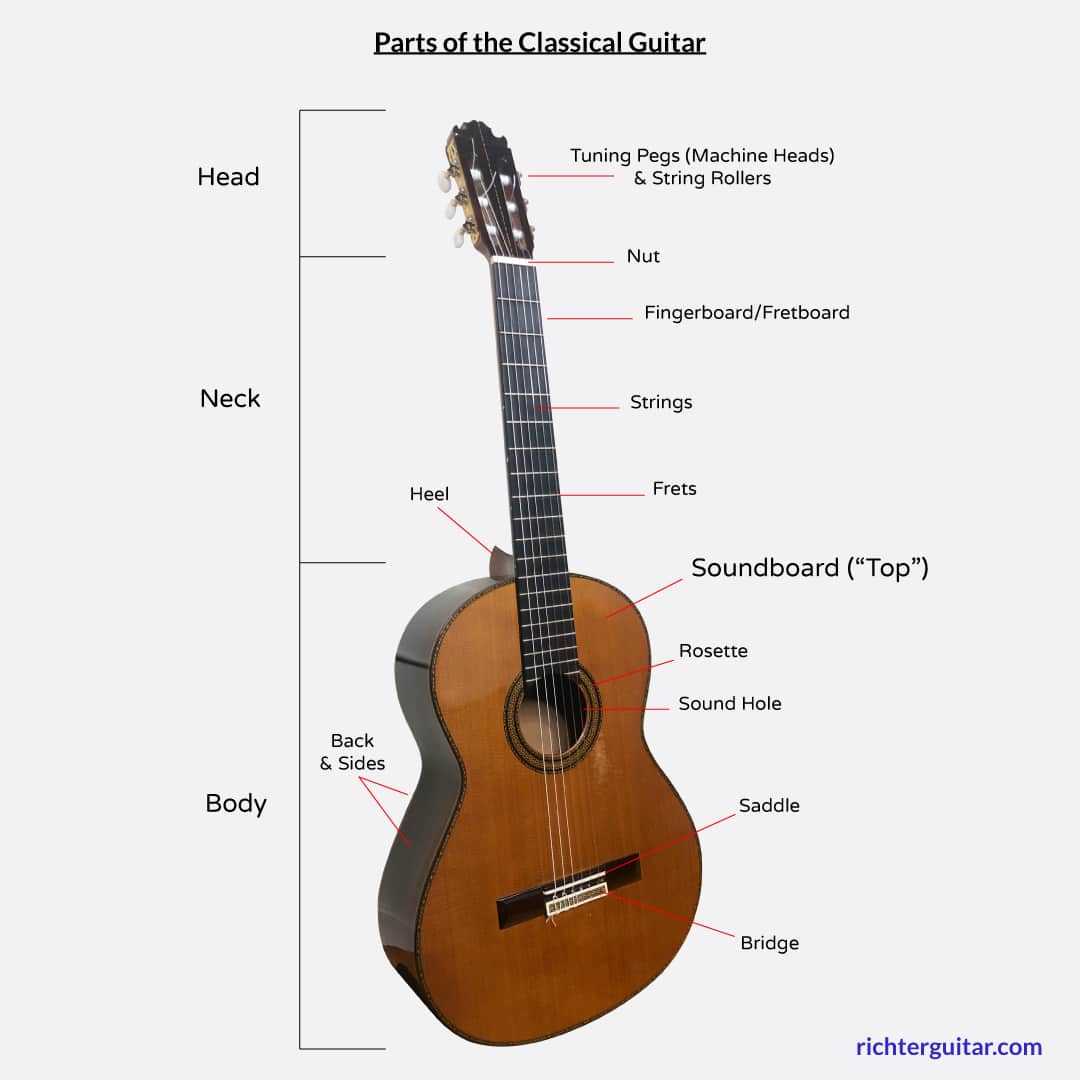 electric bass parts diagram