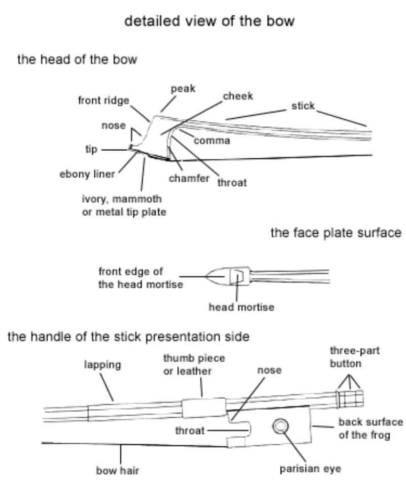 parts of a violin diagram