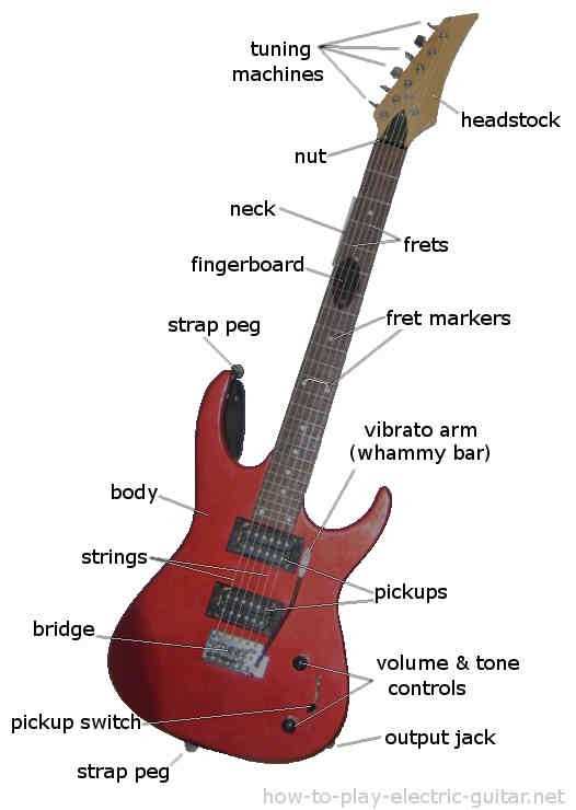 parts of bass guitar diagram