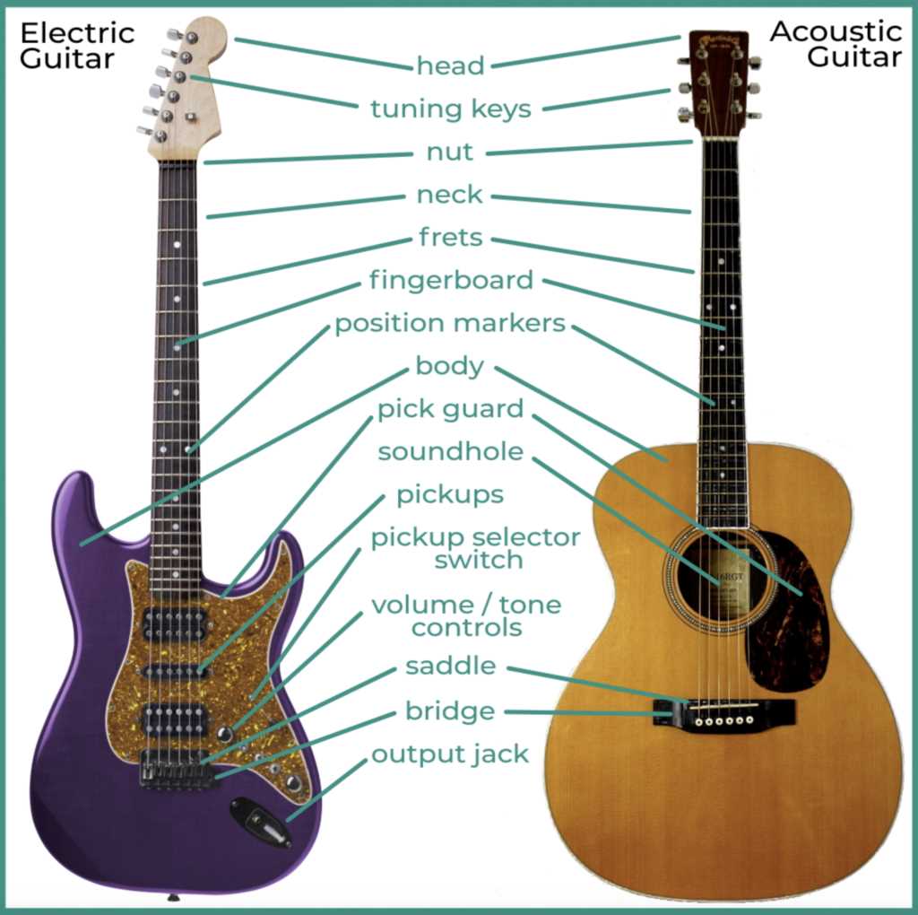 parts of a guitar diagram acoustic