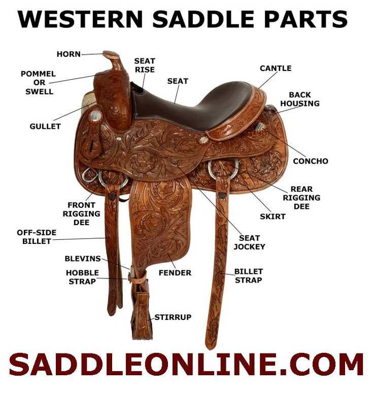 parts of a saddle diagram