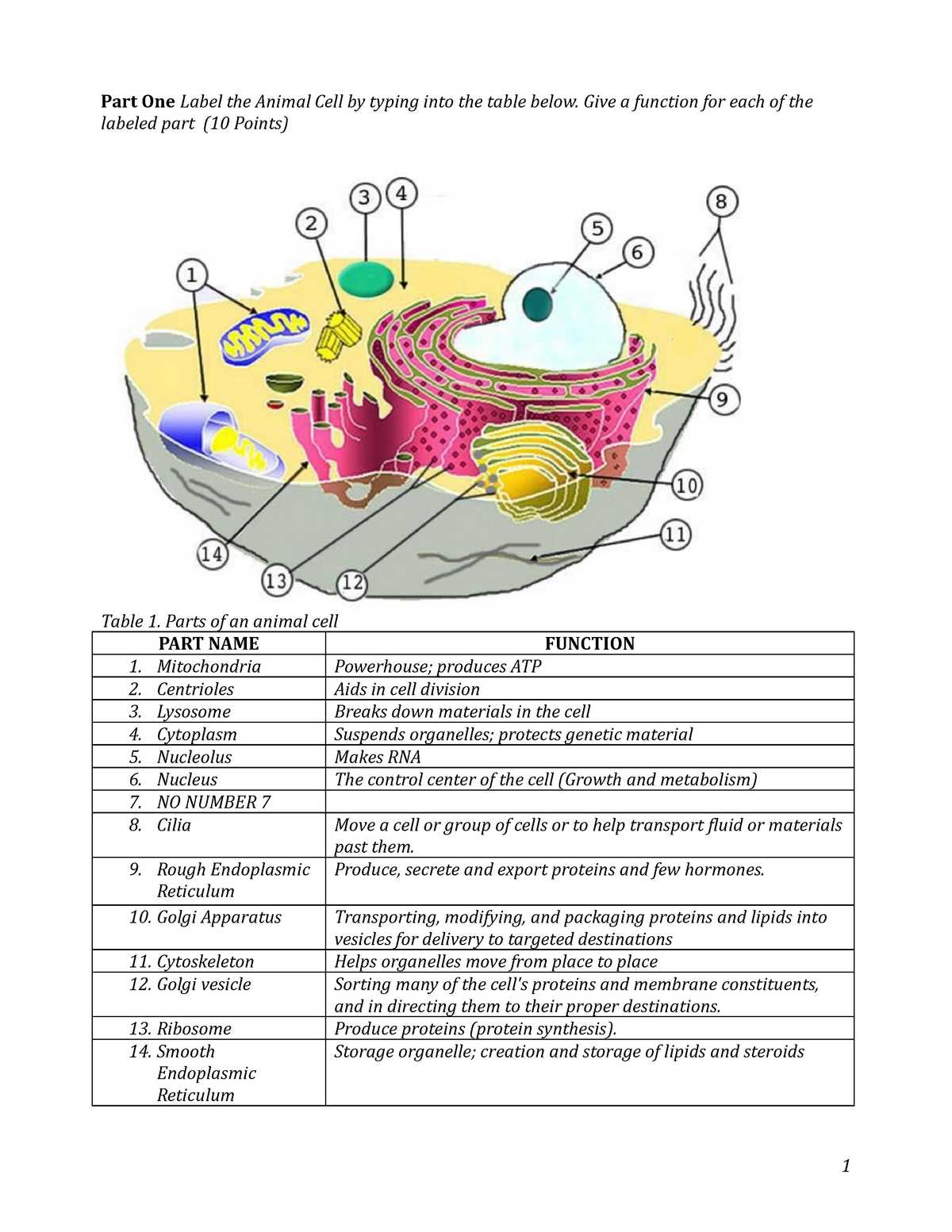 label the two cell parts on the diagram below.