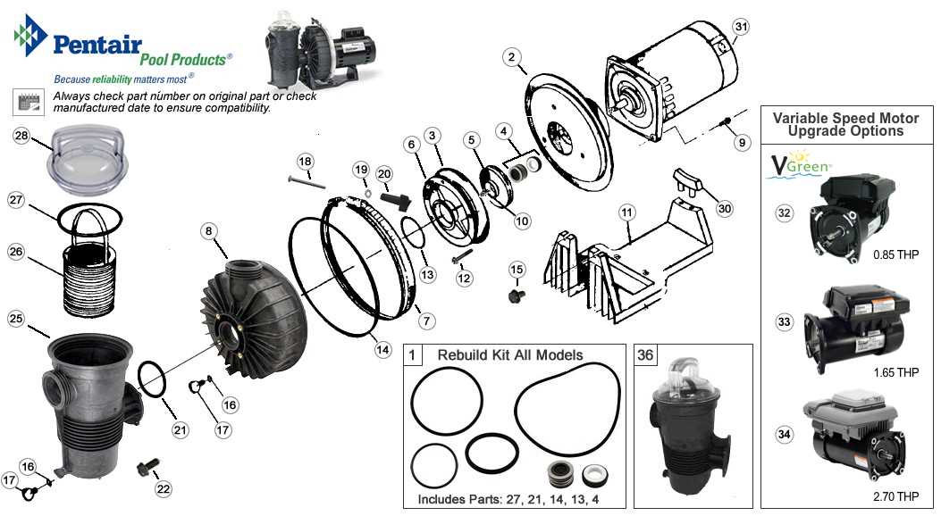 pool parts diagram