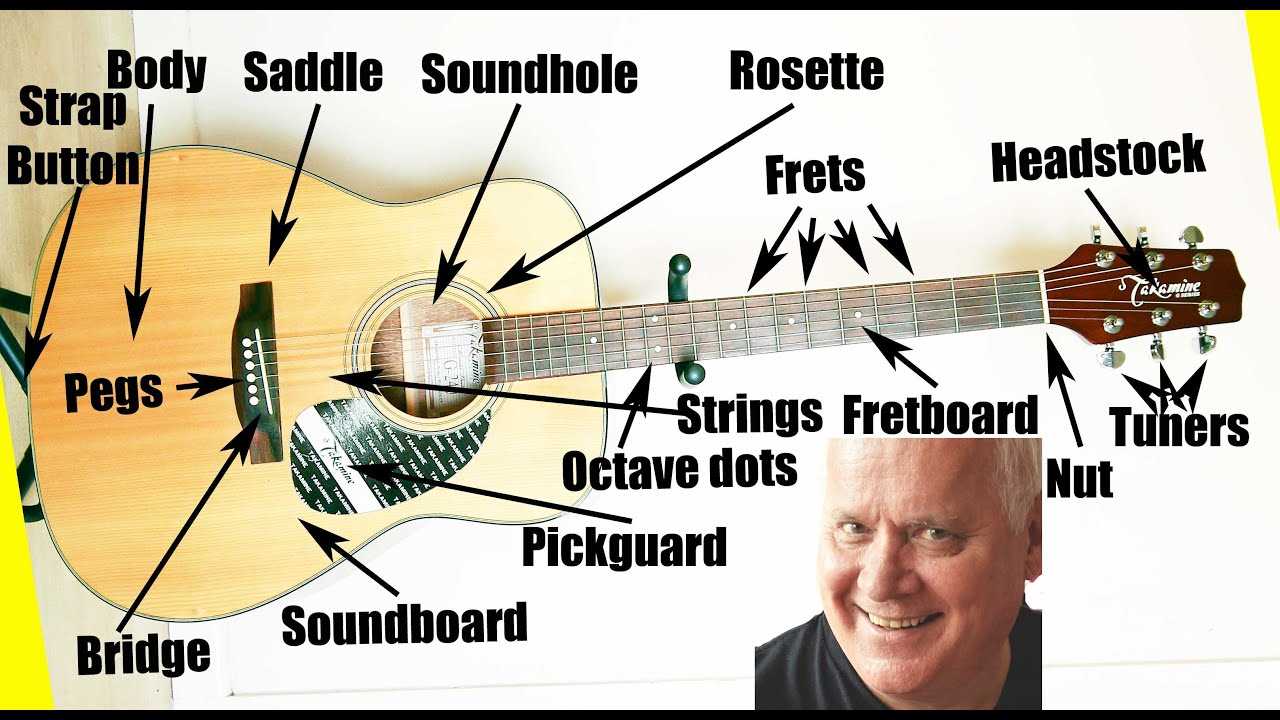 guitar part diagram