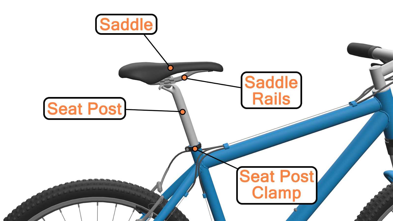 parts of saddle diagram