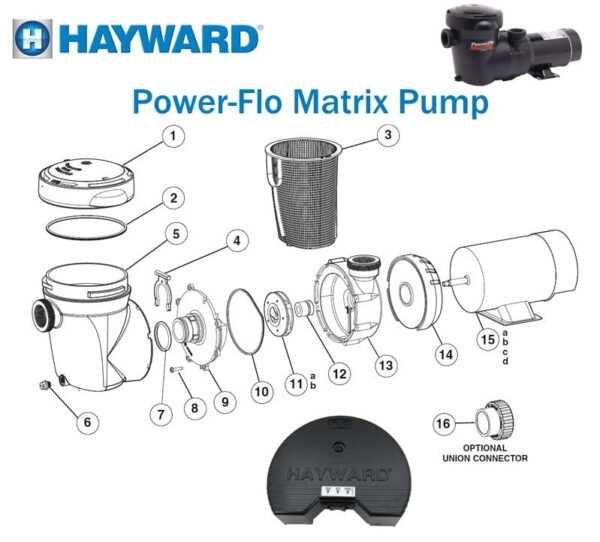 hayward power flo lx pump parts diagram