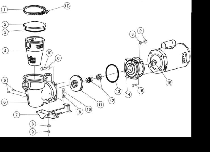 1.5 hp hayward pool pump parts diagram