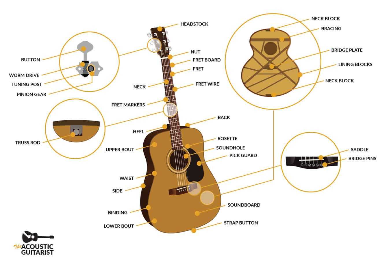 parts of a guitar diagram acoustic