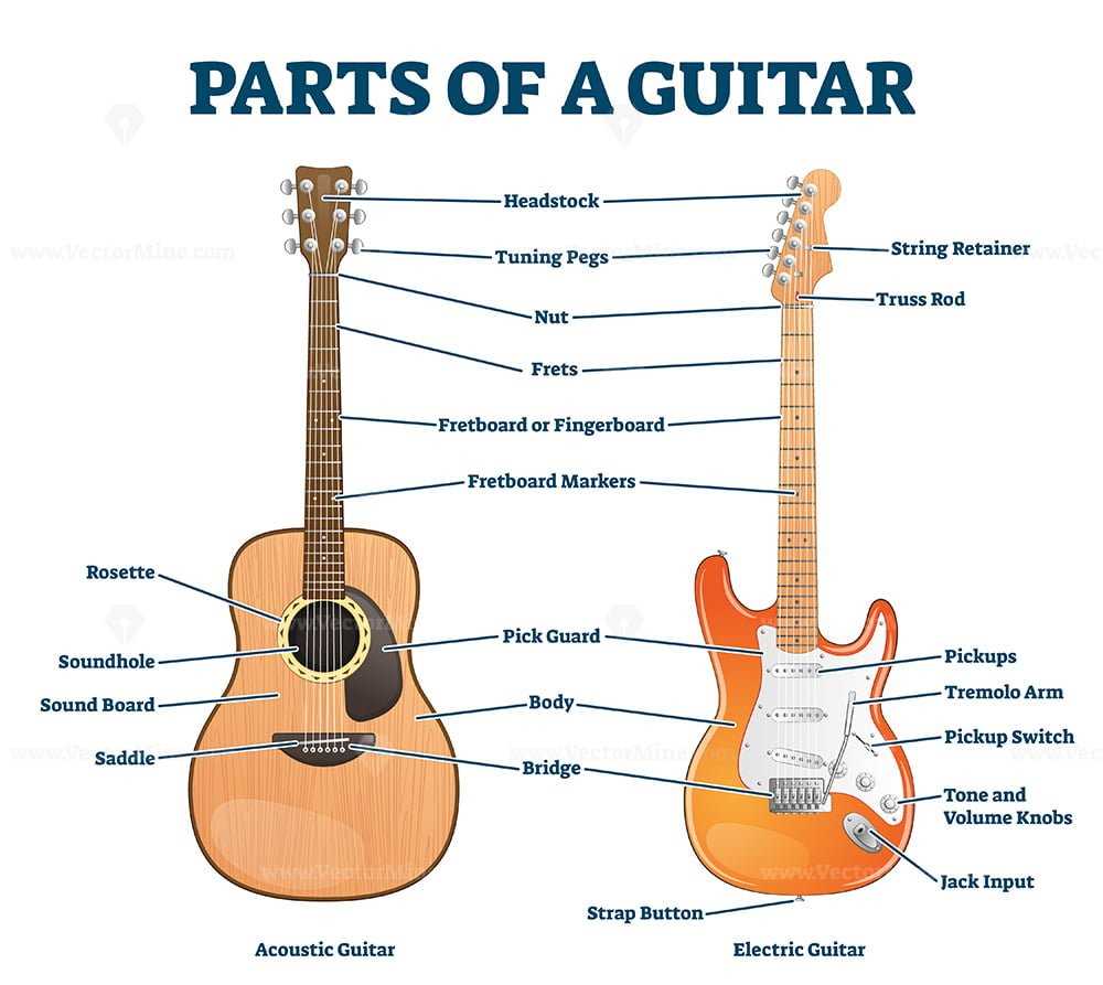 parts of a guitar diagram acoustic