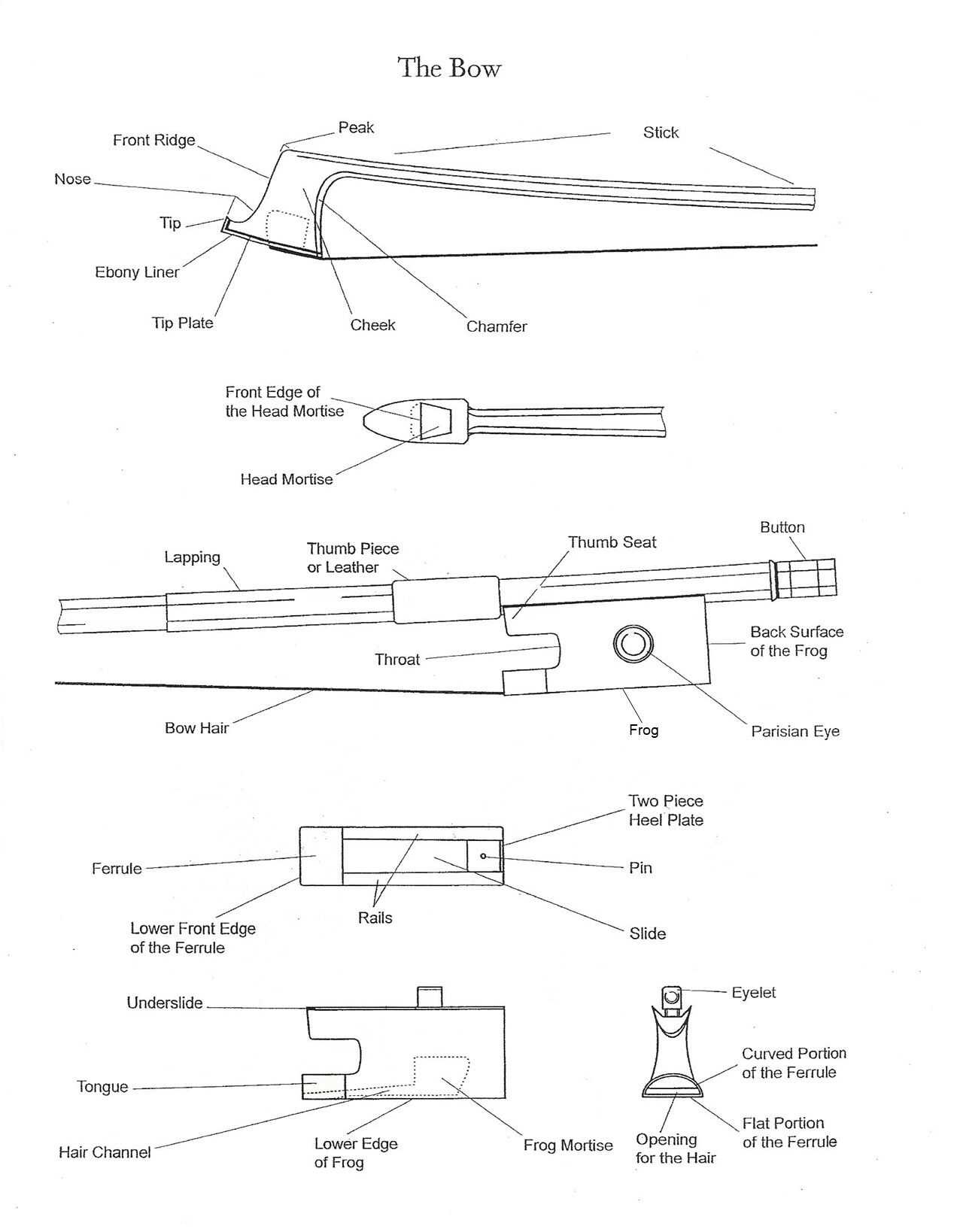 parts of a violin diagram