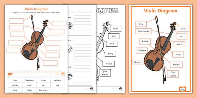 parts of a violin diagram