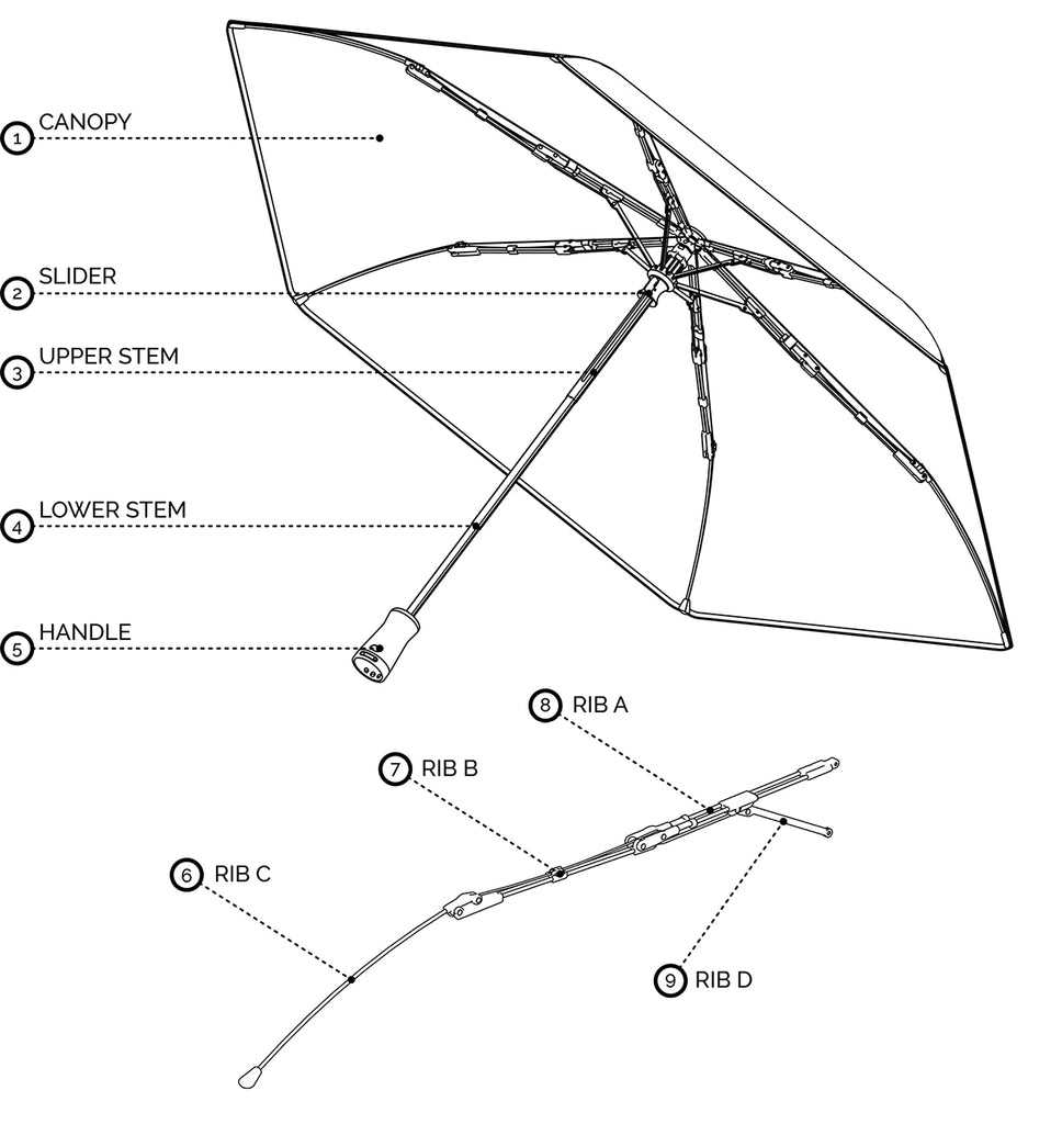 parts of an umbrella diagram