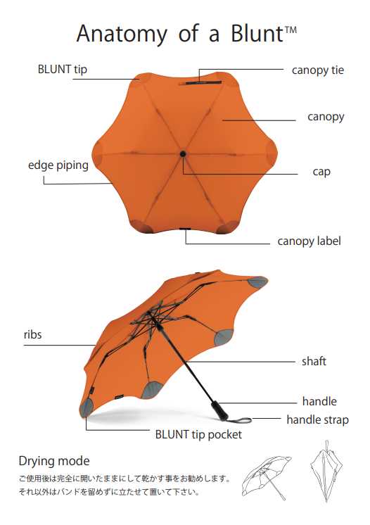 parts of an umbrella diagram