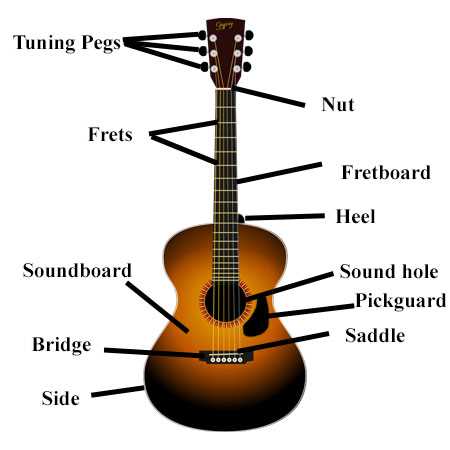 parts of bass guitar diagram