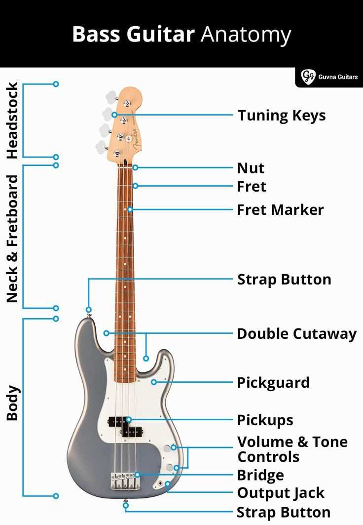 parts of bass guitar diagram