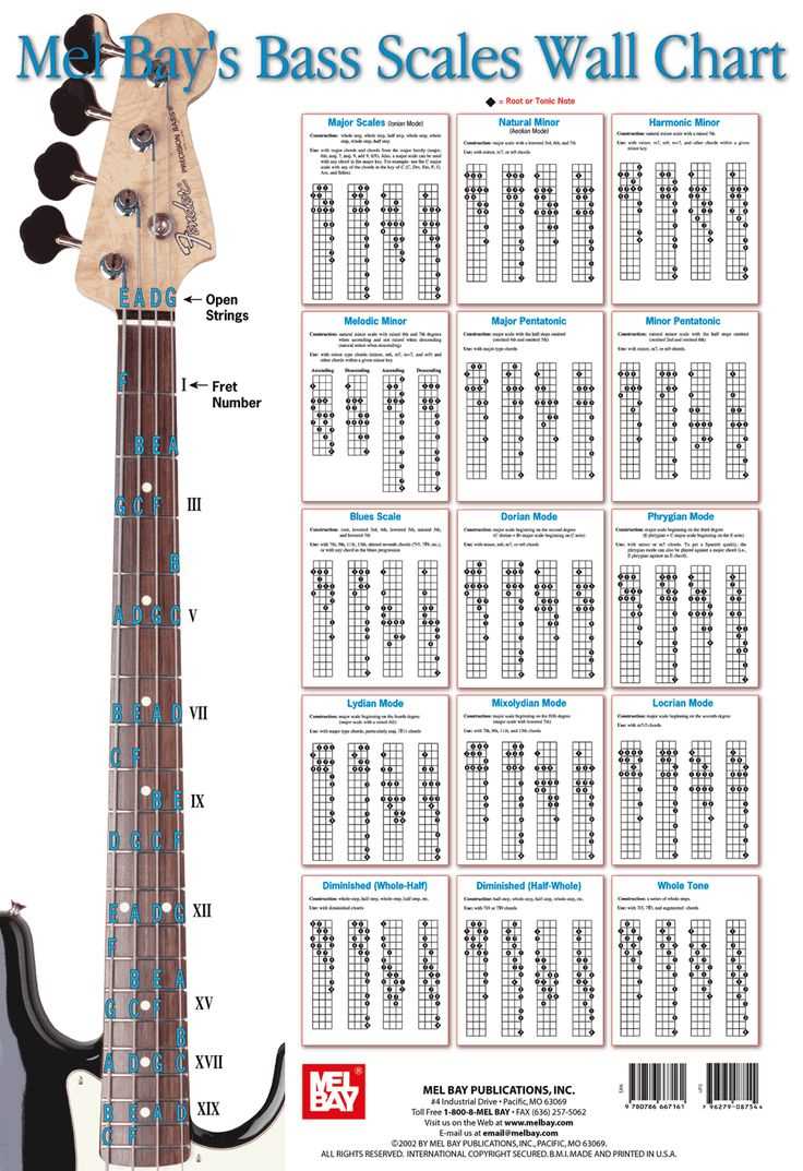 parts of bass guitar diagram