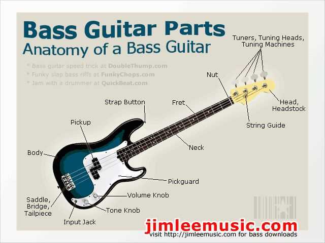 parts of bass guitar diagram