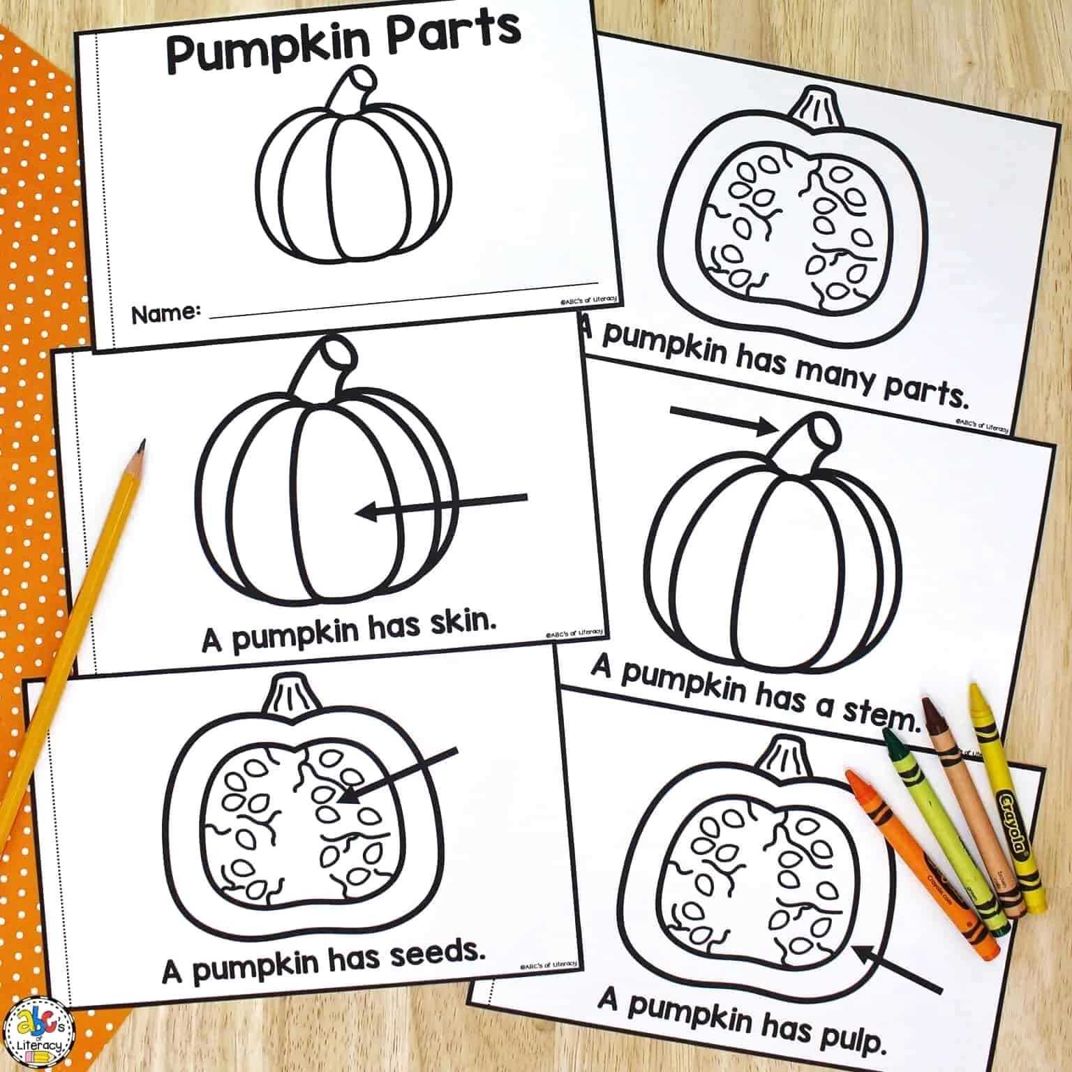 pumpkin parts diagram