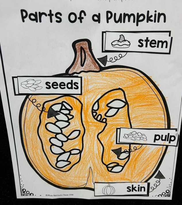 pumpkin parts diagram