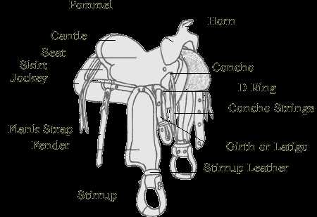 saddle parts western diagram