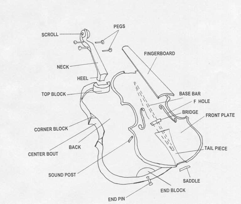 violin diagram parts