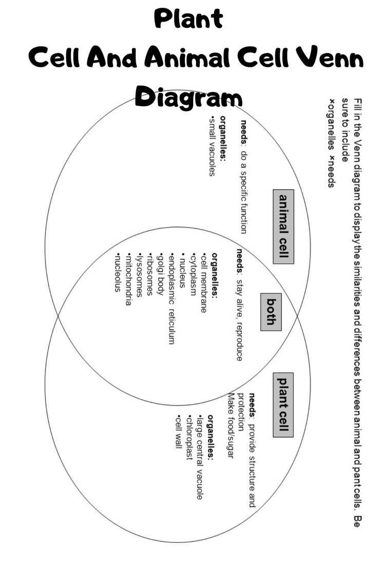 tree and body parts venn diagram