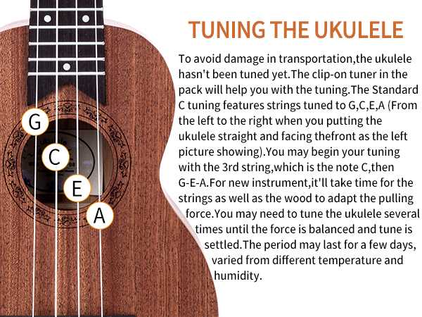 ukulele diagram of parts