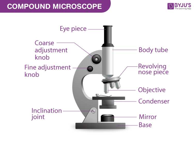 binocular parts diagram