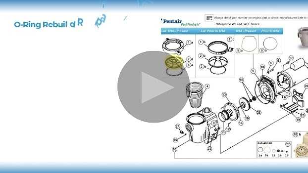 pentair superflo parts diagram