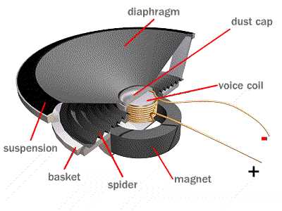 parts of a speaker diagram