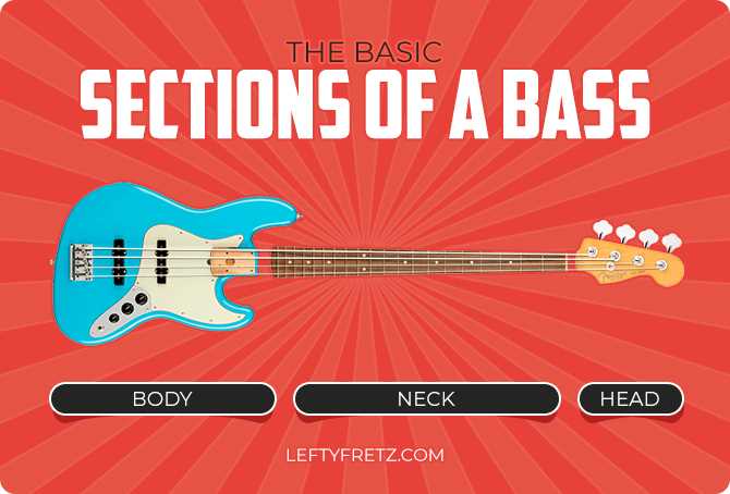 electric bass parts diagram