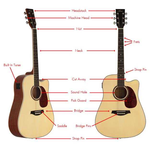 parts of a guitar diagram acoustic