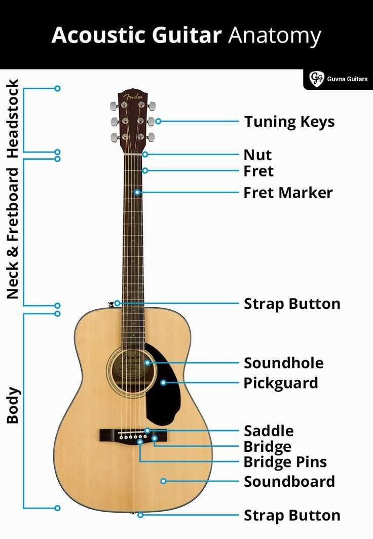 guitar part diagram