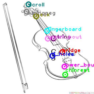 parts of a violin diagram