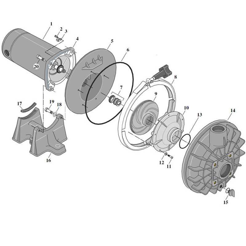 century pool pump parts diagram