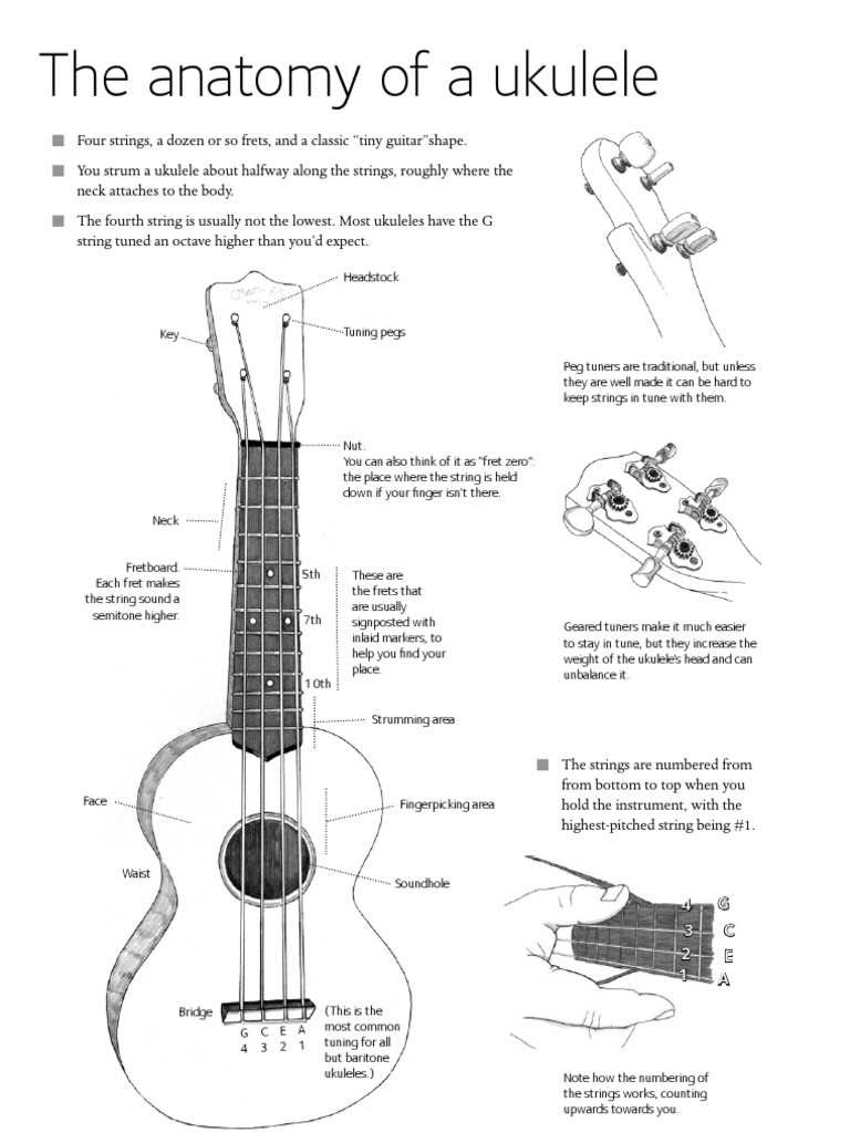 ukulele diagram of parts